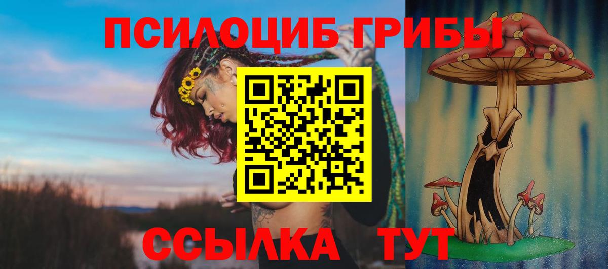 Галлюциногенные грибы Magic Shrooms Юрга