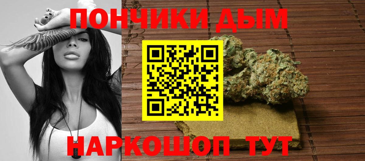Канабис сатива Юрга